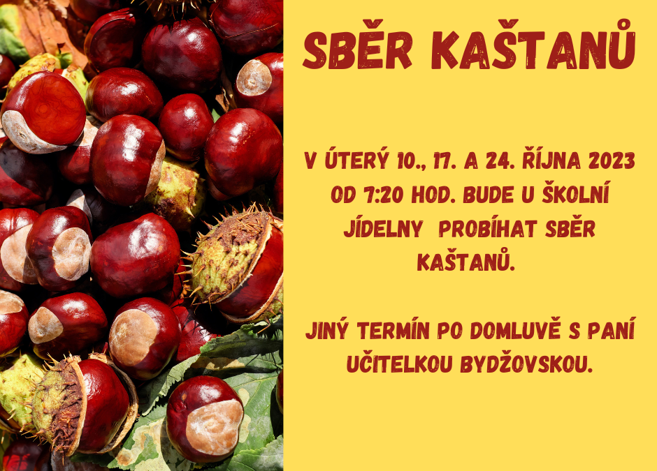 SBĚR KAŠTANŮ